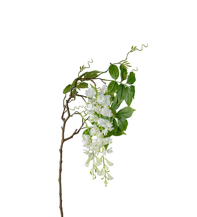 Visteria 100 cm