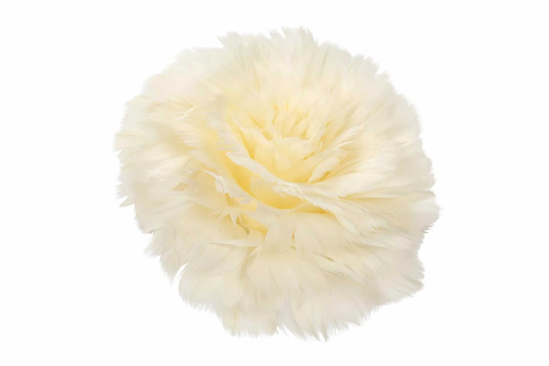 Fjäderblomma med clip vanilj