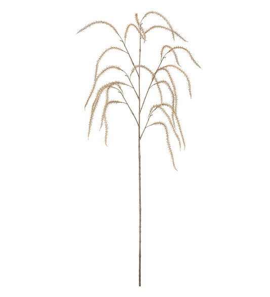 Amaranthus 95cm