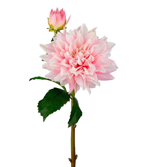 Dahlia Rosa 70 cm real touch