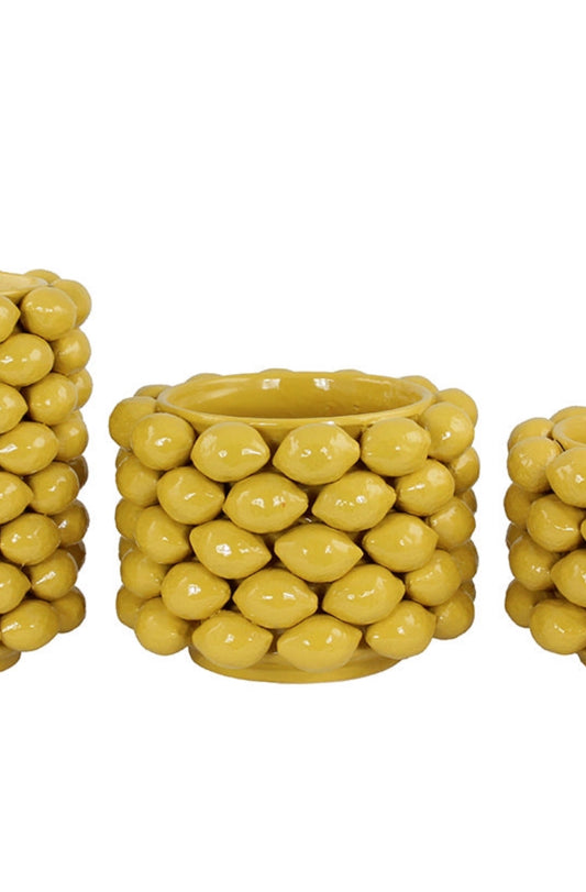 Citron Kruka, Medium ( upphämtning butik endast)
