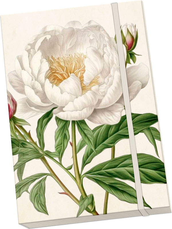 Anteckningsbok Pion Strax i lager