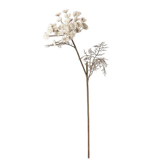 Vildmorot 70cm vit/natur