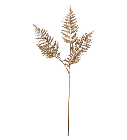 Ormbunksblad natur 90 cm