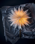 Load image into Gallery viewer, Top star w. LED
White Brass finish

