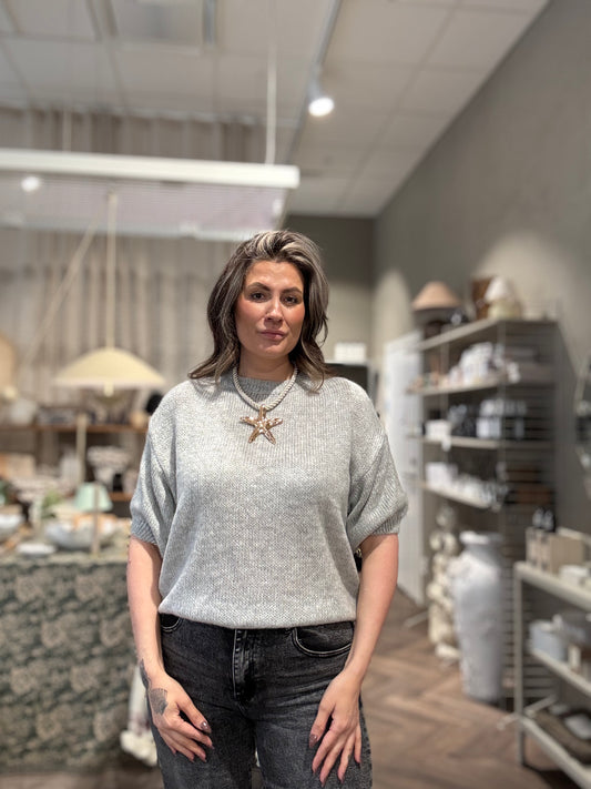Molly Tröja ljusgrå  (36-46)