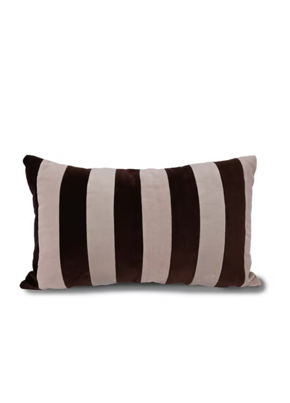 Pathi kudde L 40x60 cm