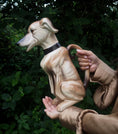 Load image into Gallery viewer, Greyhound Kanna

