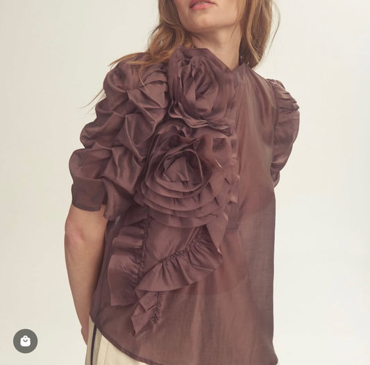 Annsofigo blouse Coffee