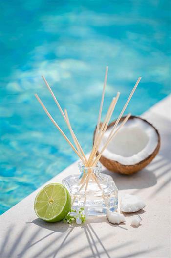 Doftpinnar Coconut Water 100ml