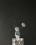Load image into Gallery viewer, Katachi Vase, Mini - Clear
