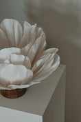 Load image into Gallery viewer, Lisa lampa
