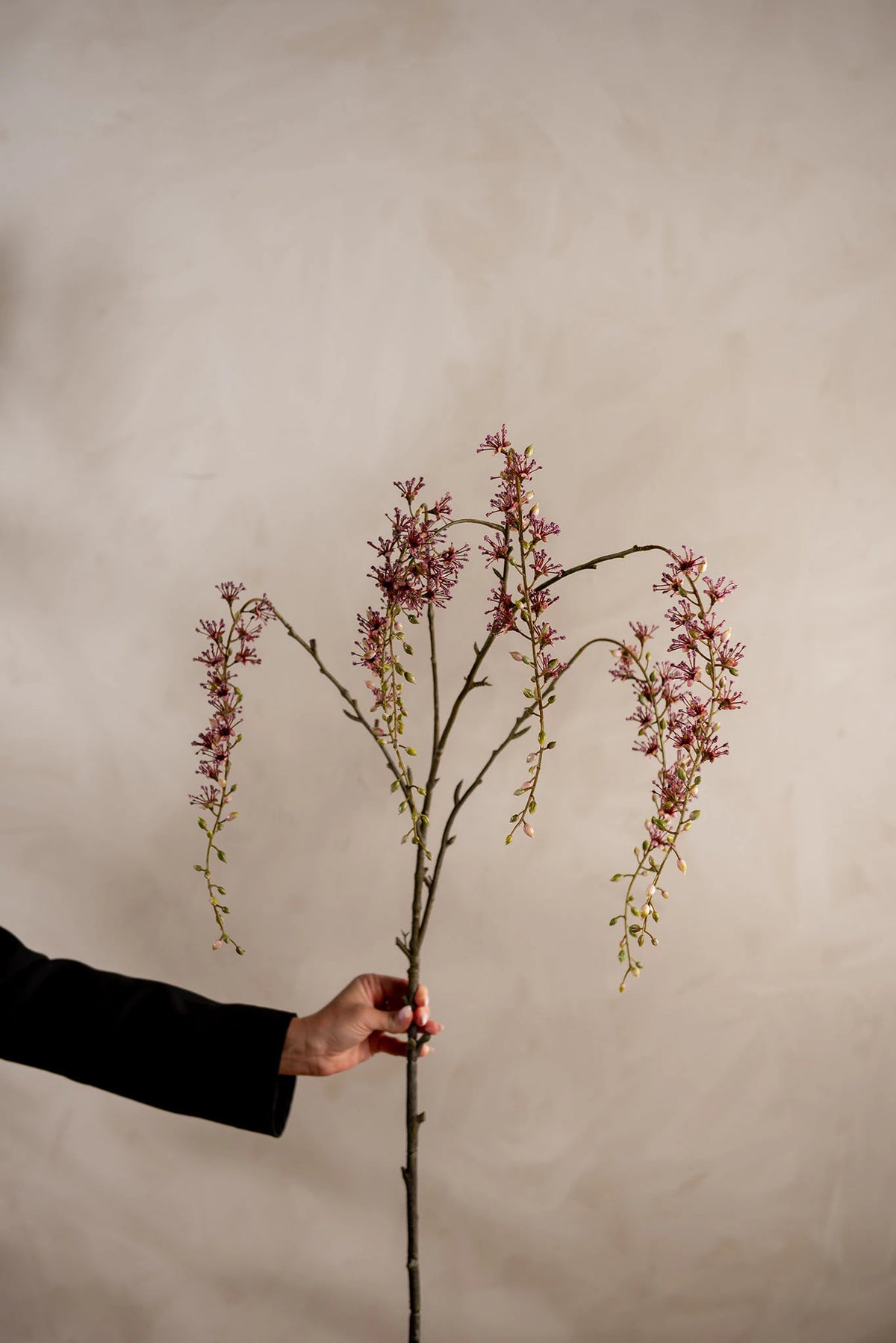 Blomkvist Plum 164cm