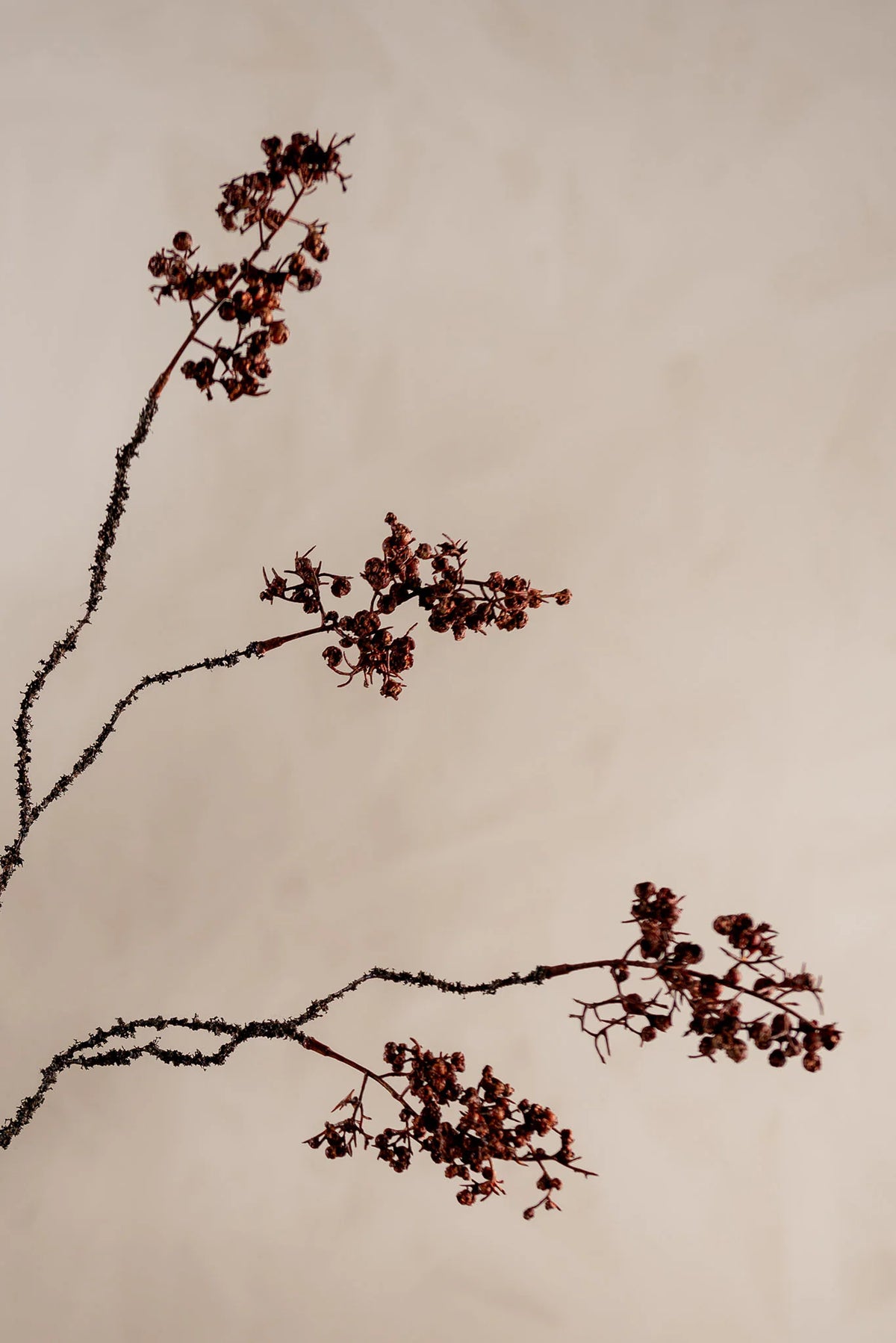 Bärkvist Brun 87cm