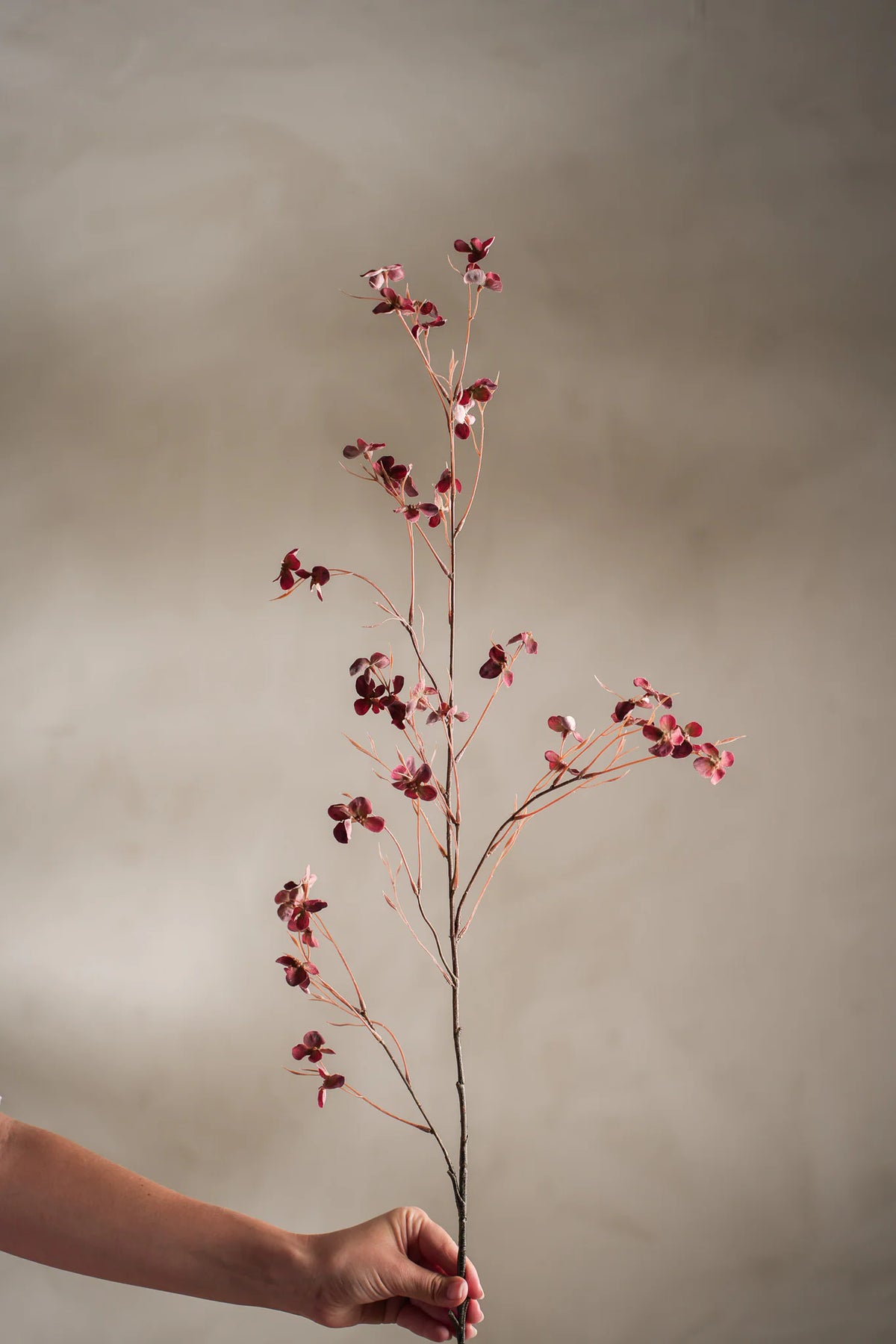 Hortensia Burgundy 110cm