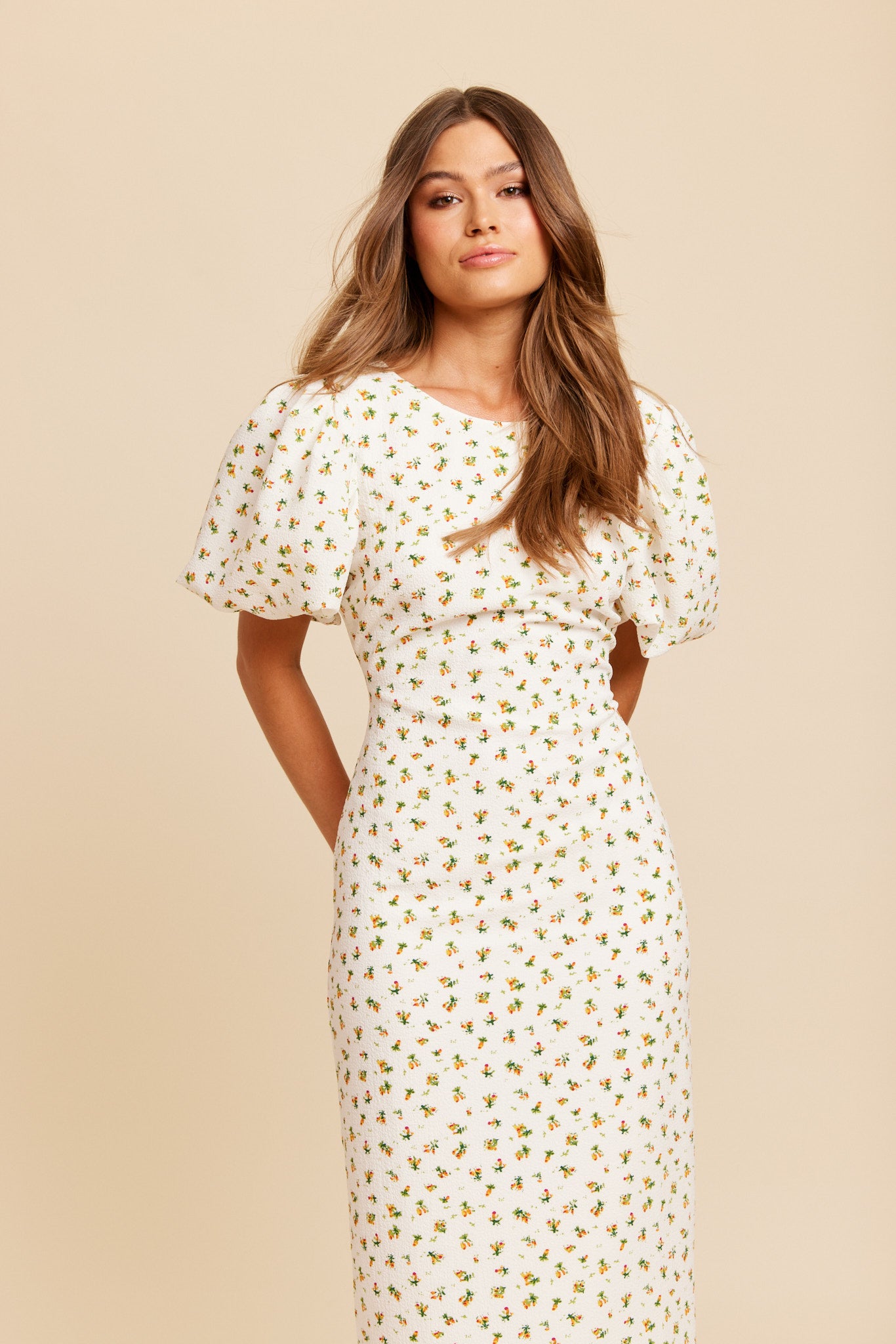 LIZ LONG DRESS