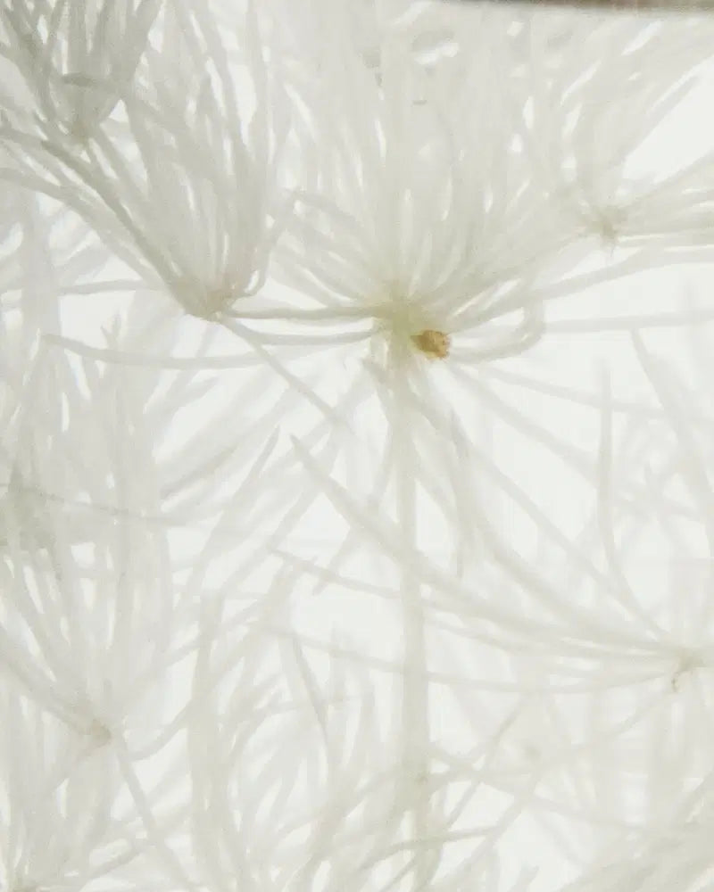 Diffuser, Lilac Muse, 240 ml