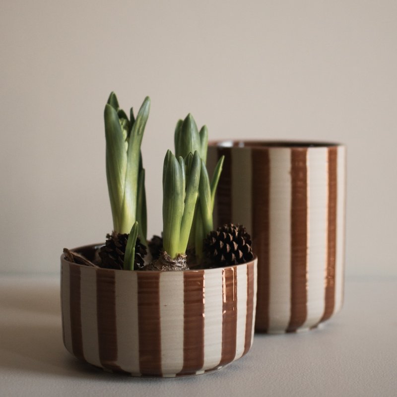 Line Bowl - stripe nougat