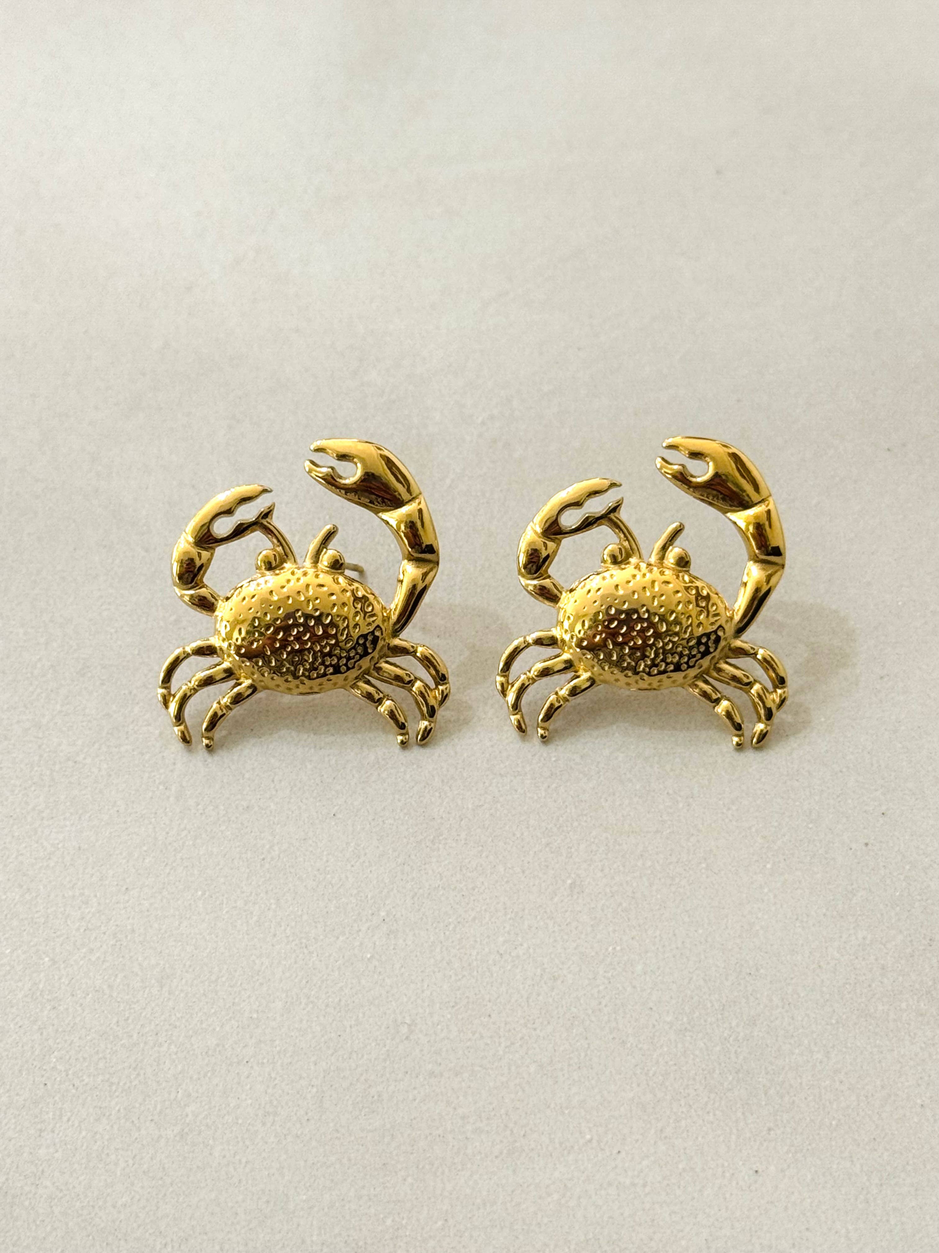 Herr Krabba Örhängen i rostfritt stål