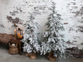 Load image into Gallery viewer, Fleur gran 150cm ( skickas ej)
