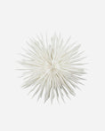 Load image into Gallery viewer, Stjärna, Reef, Off-White 50 cm
