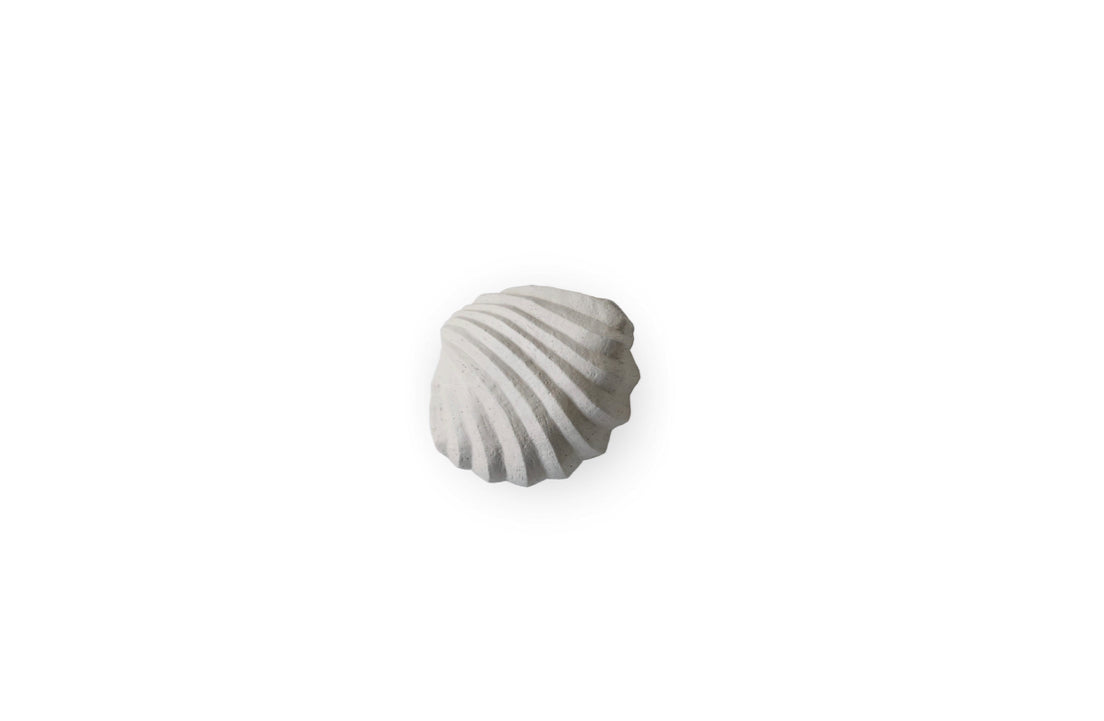 Sculpture The Clam Shell Limestone
